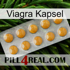 Viagra Capsule levitra1
